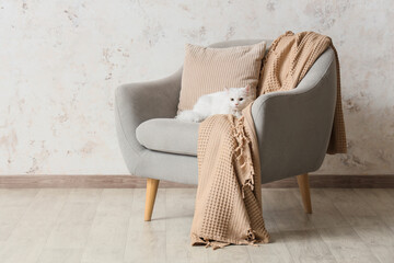 Cute white cat with plaid and cushion lying in armchair near light wall in living room