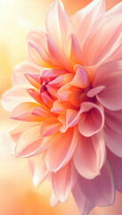 Fototapeta premium A close-up macro shot of a vibrant dahlia flower in full bloom with pink, white, and yellow petals, capturing its natural beauty in a summer garden