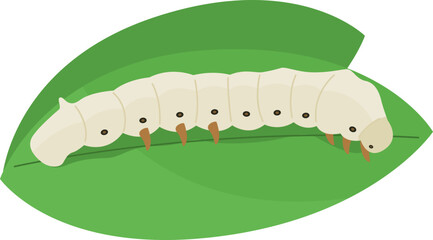 Silkworm on a Leaf Illustrration