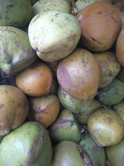 Fresh coconuts
