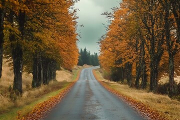 Fototapeta premium Scenic Autumn Roadways with Vibrant Foliage
