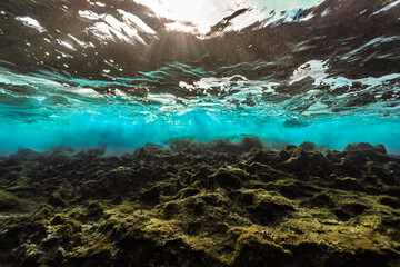 Dramatic underwater scenery from the Mediterranean Sea
