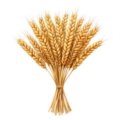 Golden Wheat Sheaf Isolated Black Background rye ears farm food ripe crop grain isolated on transparent or white background, png