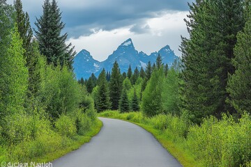 Scenic paved path, Teton mountains backdrop, summer, travel