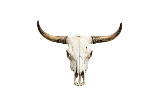 A symmetrical cow skull with broad, curved horns, presenting an iconic piece of western d&eacute;cor or art. Isolated on a transparent background