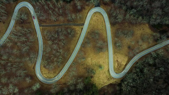 Aerial top down static of a curving road cutting through a winter forest, winding path in nature as car races down section