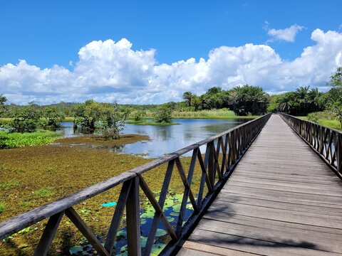 Vista em perspectiva da ponte de madeira do belo Parque Municipal Klaus Peters na Praia do Forte, A&ccedil;u da Torre, Bahia, Brasil