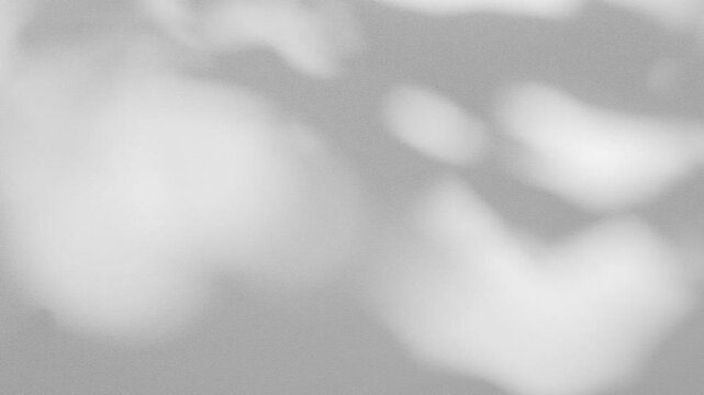 Wall interior background, studio and backdrops show products.with shadow from window color white and grey. background for text insertion and presentation product	
