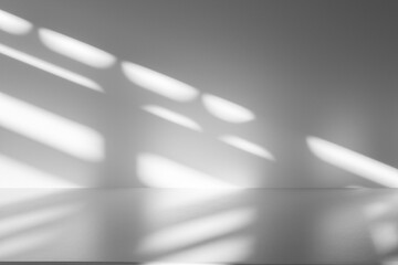 Wall interior background, studio and backdrops show products.with shadow from window color white and grey. background for text insertion and presentation product	