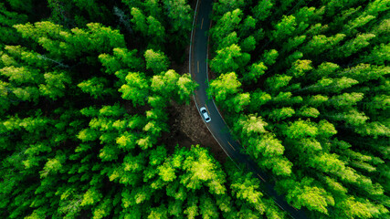 Aerial view of dark green forest road and white electric car Natural landscape and elevated roads...