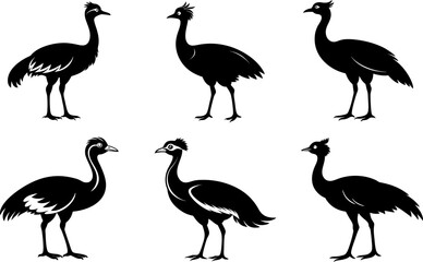 Houbara Bustard Silhouette Icon Set - Black Vector Illustration.