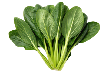 Bunch of fresh green bok choy leaves isolated with transparent background