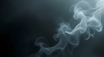 Fototapeta premium smoke on black background