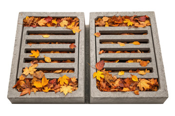 Storm drain grate covered in autumn leaves isolated with transparent background