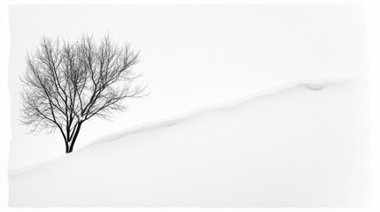 Naklejka premium A minimalist winter scene with a single large snowdrift, its soft curves and crisp textures sharply contrasted against a white backdrop.