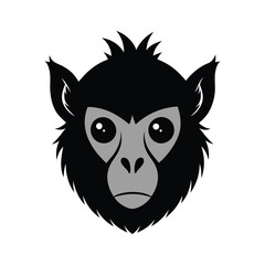  Rio mayo-titi-head vector illustration