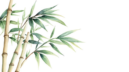 Obraz premium Watercolor Painting of Bamboo Leaves and Stems