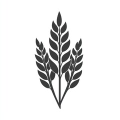 Fototapeta premium Three stalks of wheat, isolated on white. Crop, grain, food use