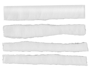 Ripped Torn Paper Edge Texture Transparent 