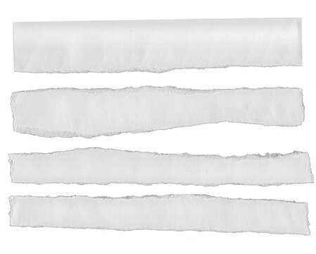 Ripped Torn Paper Edge Texture Transparent 
