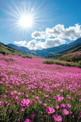 Pink Flowers Field with Sun