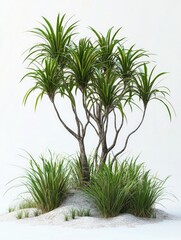 Fototapeta premium Plants on White Surface