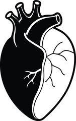 Decorative human heart vector illustration, human heart silhouette vector, human heart line art vector design, human heart isolated icon