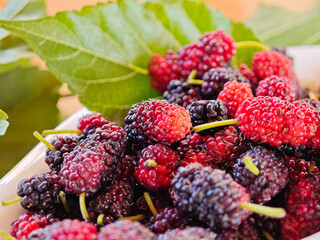 The mulberry is red and black in bowl