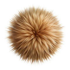 Obraz premium Realistic fur texture isolated on transparent background 