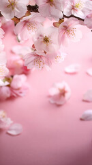 벚꽃