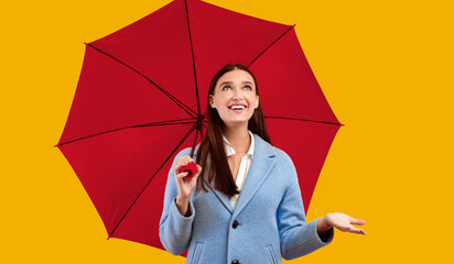 Portrait of smiling lady in coat holding yellow umbrella, checking for rain, looking up