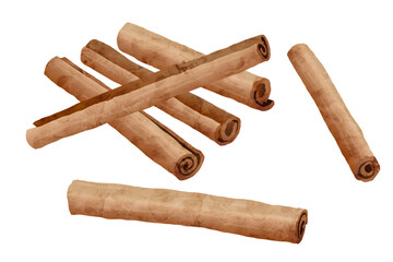 シナモンの水彩風ベクターイラスト 