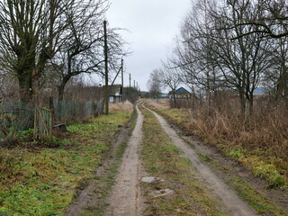 Exploring a rural pathway lined with trees on a gloomy and overcast day in nature