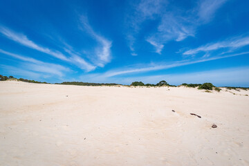 Henty Dunes near Strahan in western Tasmania on a blue sunny day