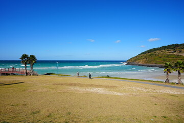 wonderful seascape with seaside bridge