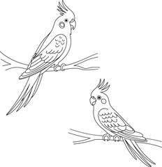 Fototapeta premium Cute flat vector realistic parrot Cockatiel sitting on a branch Exotic tropical bird Domestic parrot