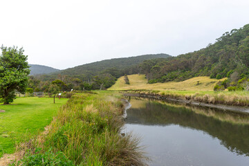 Beautiful nature view of Kennett River Nature Walk, Victoria, Australia.