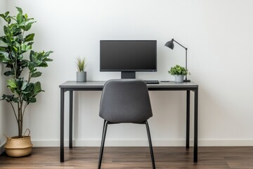 Minimalist Home Office Setup: Modern Desk, Chair, and Plants
