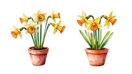 Yellow Daffodils in Rustic Terracotta Pot PNG Clipart