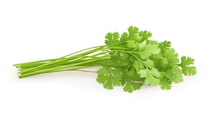 Fresh Cilantro Sprig