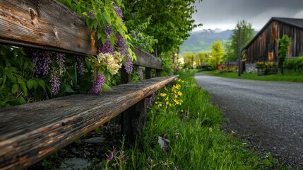 Tranquil nature scene rural roadside landscape photography lush green environment close-up view serenity concept