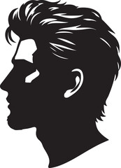 Man head full black Silhouette the white background