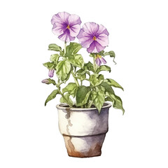 watercolor Petunia isolated white background