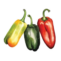 watercolor Peppers isolated white background