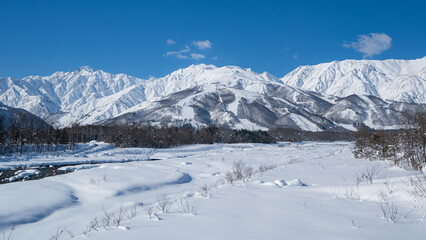 快晴の空と冠雪の北アルプス　長野県白馬村