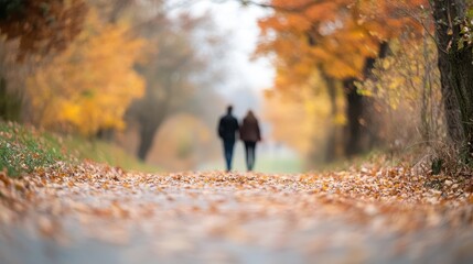 Fototapeta premium Blurry couple walking autumn path, leaves strewn. Perfect for blogs, websites, or designs needing a fall theme.