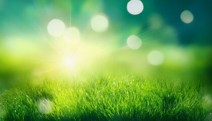 Fototapeta premium green spring abstract blurred background with sun and lights