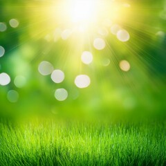 Obraz premium green spring abstract blurred background with sun and lights