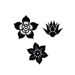 black and white flower  on white background