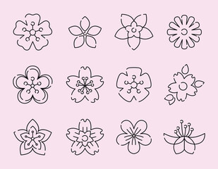 Set of floral blossom illustration